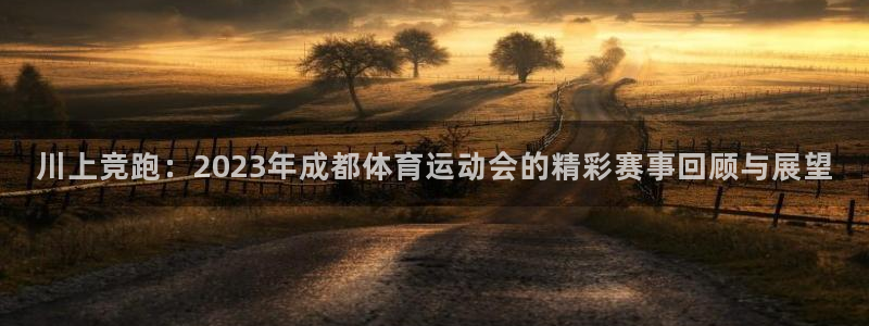 五星体育儿童篮球培训：川上竞跑：2023年成都体育运动会的精彩赛事回顾与展望