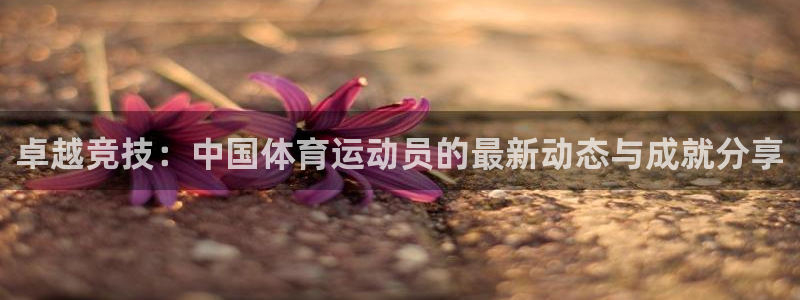 五星体育传媒有限公司：卓越竞技：中国体育运动员的最新动态与成就分享