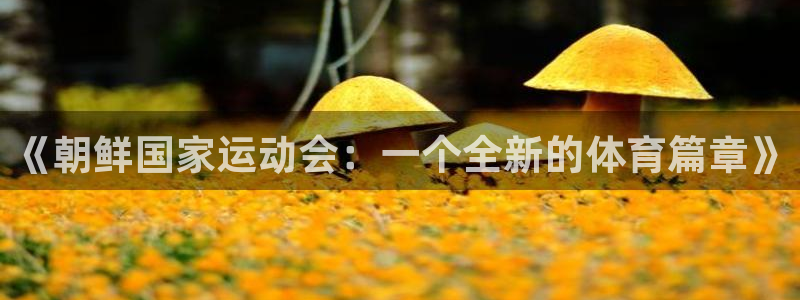 五星体育王政：《朝鲜国家运动会：一个全新的体育篇章》