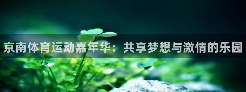 五星体育上海：京南体育运动嘉年华：共享梦想与激情的乐园