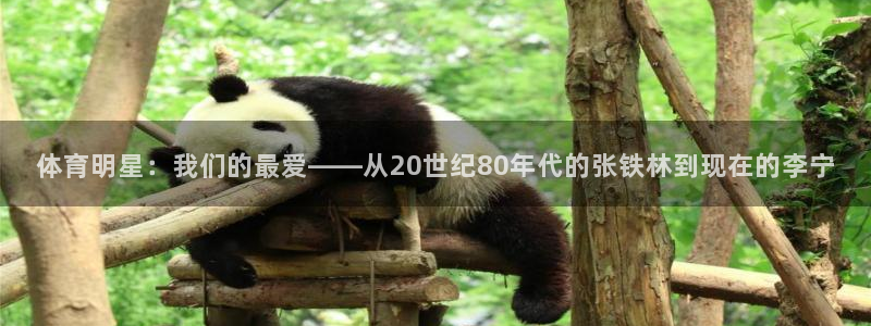 五星体育源：体育明星：我们的最爱——从20世纪80年代的张铁林到现在的李宁