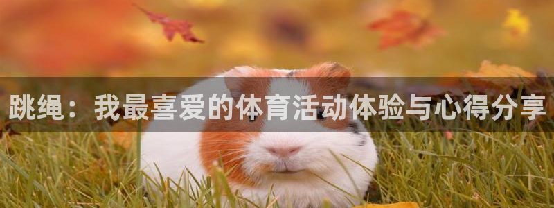 五星体育今日赛事预告：跳绳：我最喜爱的体育活动体验与心得分享