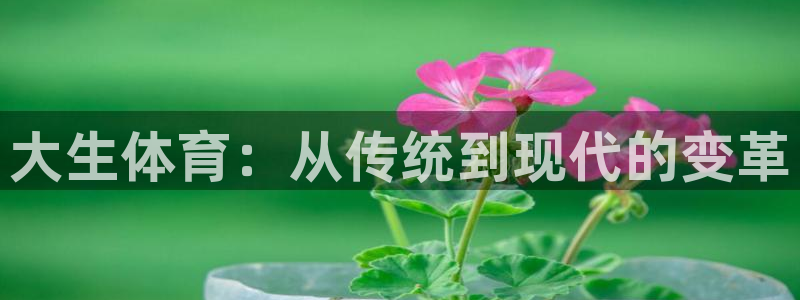 五星体育李思哲：大生体育：从传统到现代的变革