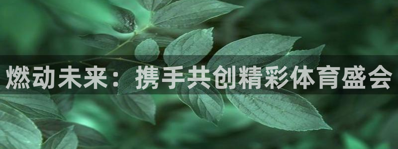 五星体育电视台：燃动未来：携手共创精彩体育盛会