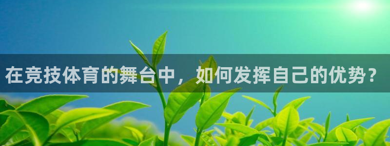 五星体育播放源：在竞技体育的舞台中，如何发挥自己的优势？